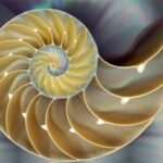 Spiral