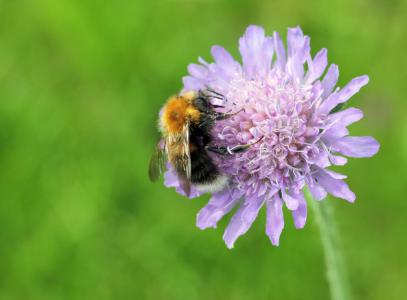 Angela's Practice is based at Bexhill-on-Sea, East Sussex